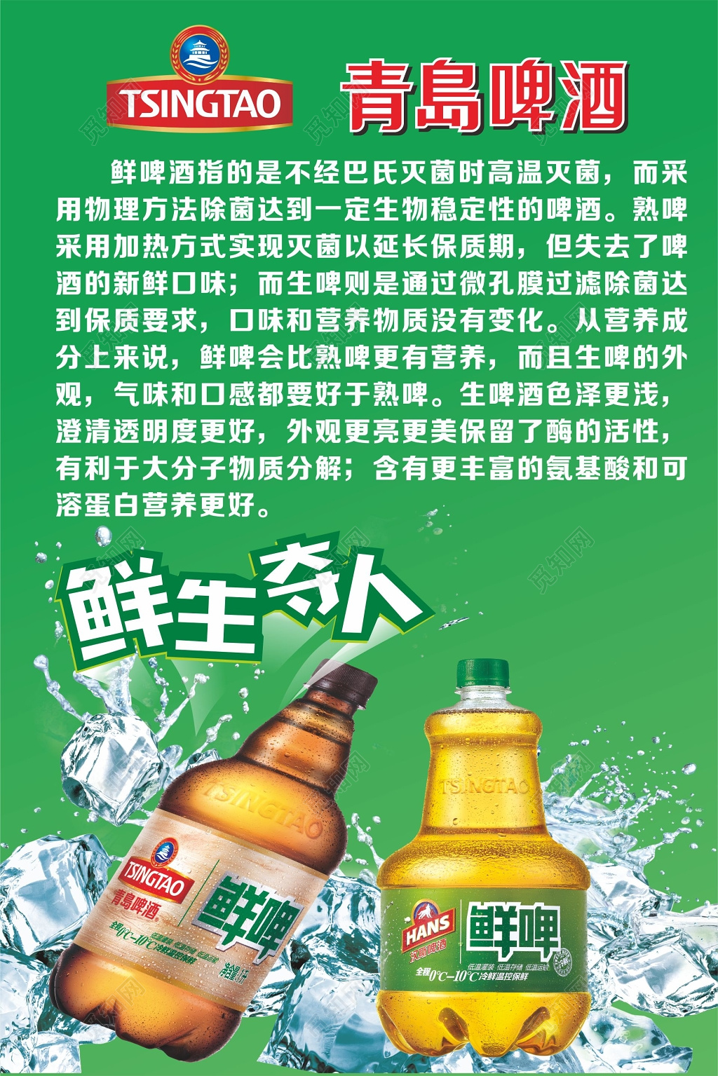 青岛啤酒海报啤酒简介