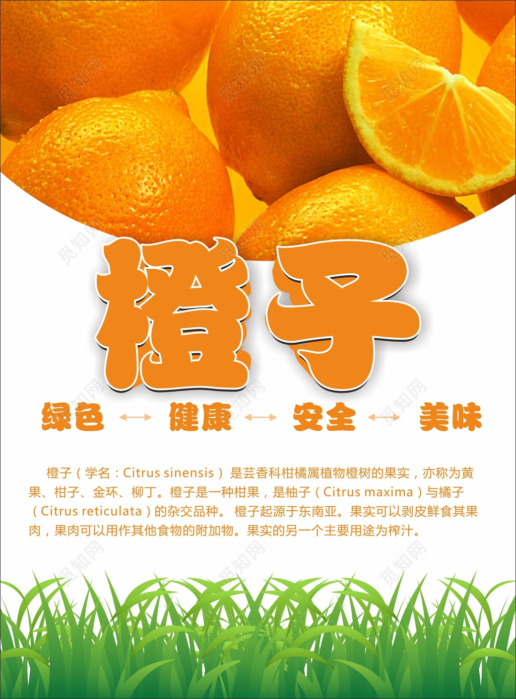 橙子海报生鲜新鲜水果销售海报