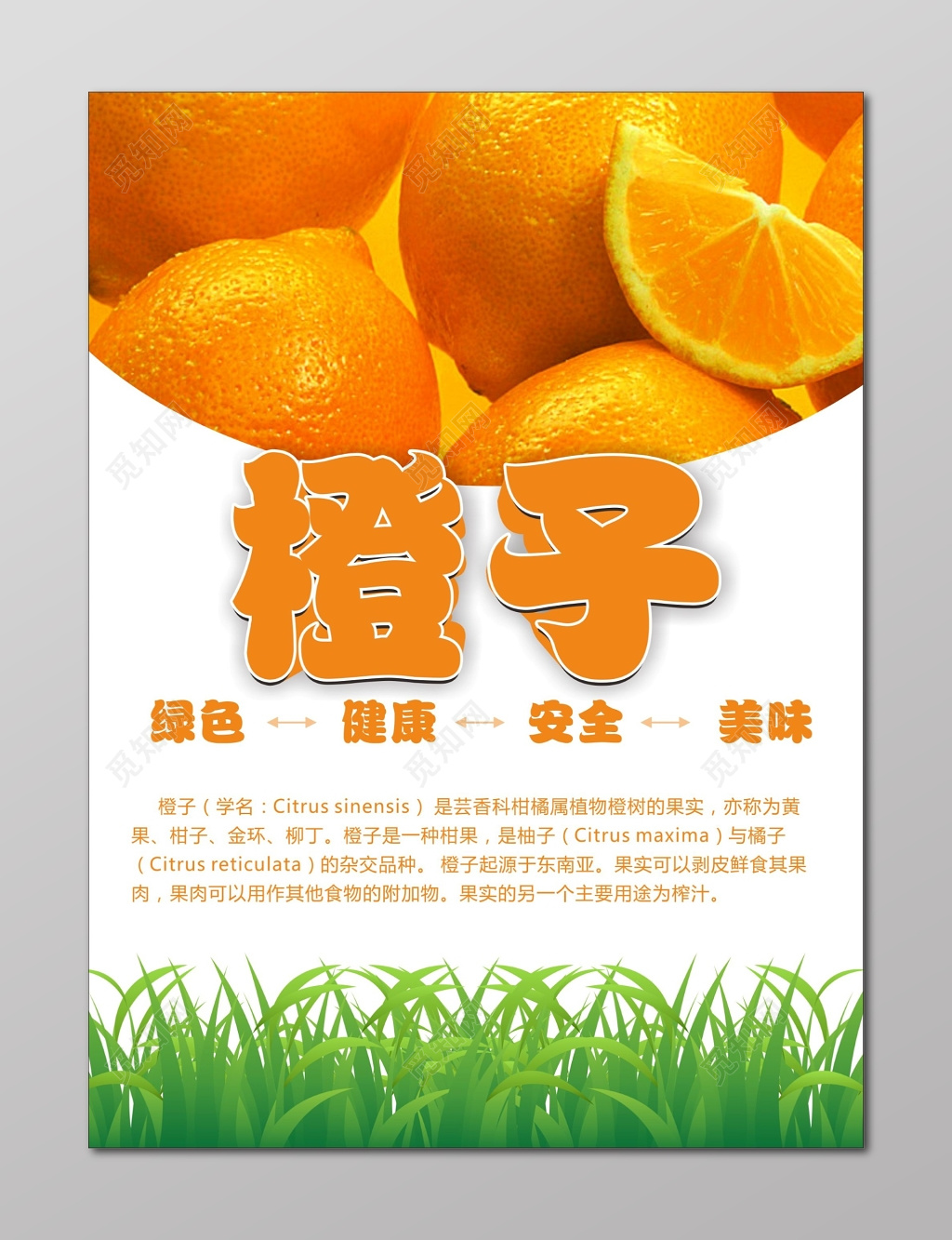 橙子海报生鲜新鲜水果销售海报