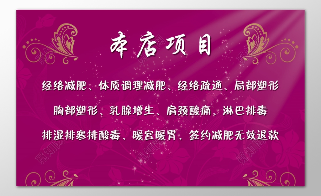 美容院项目列表经络减肥经络疏通局部塑形乳腺增生海报模板