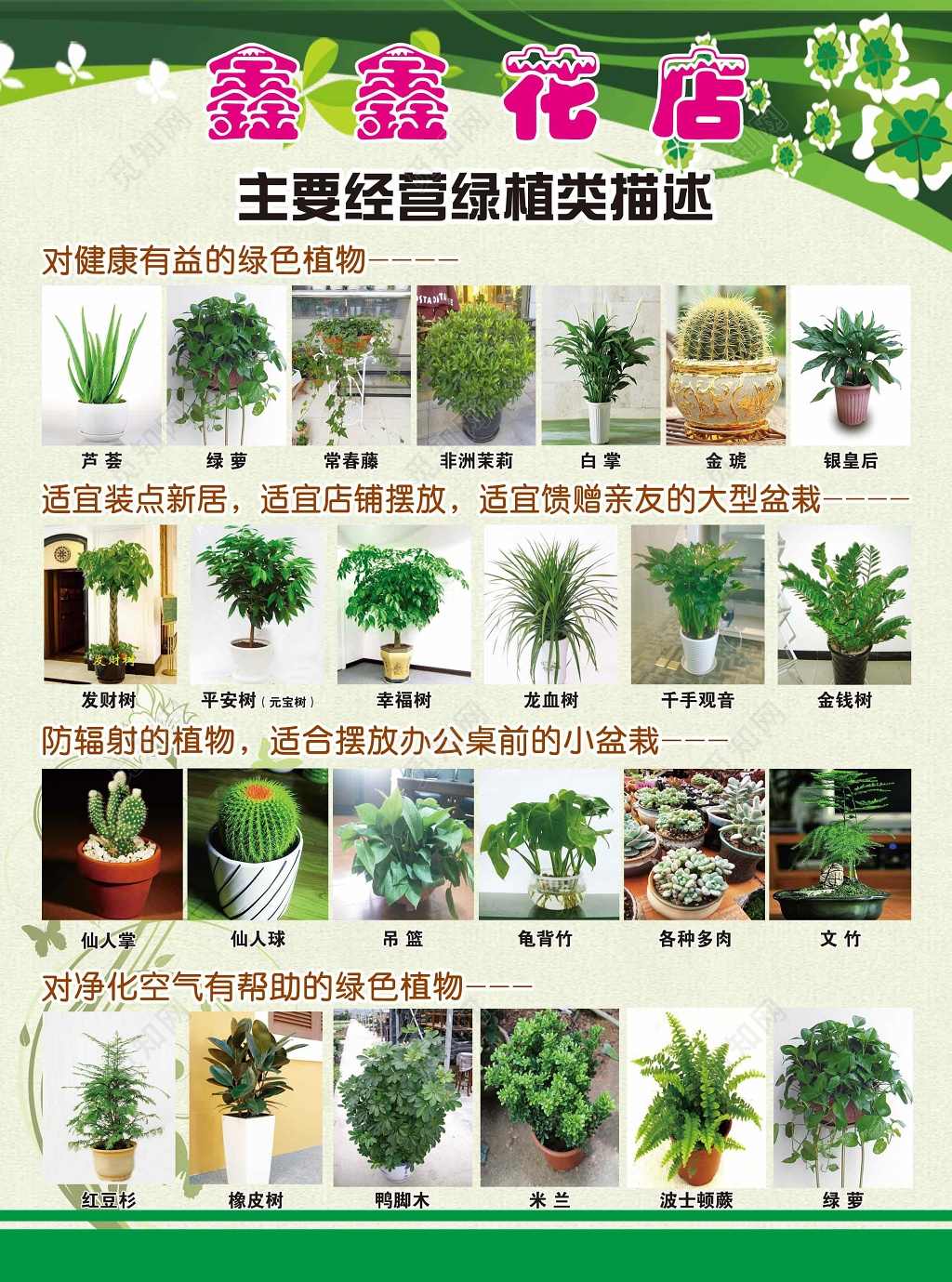 绿植类花店促销宣传单