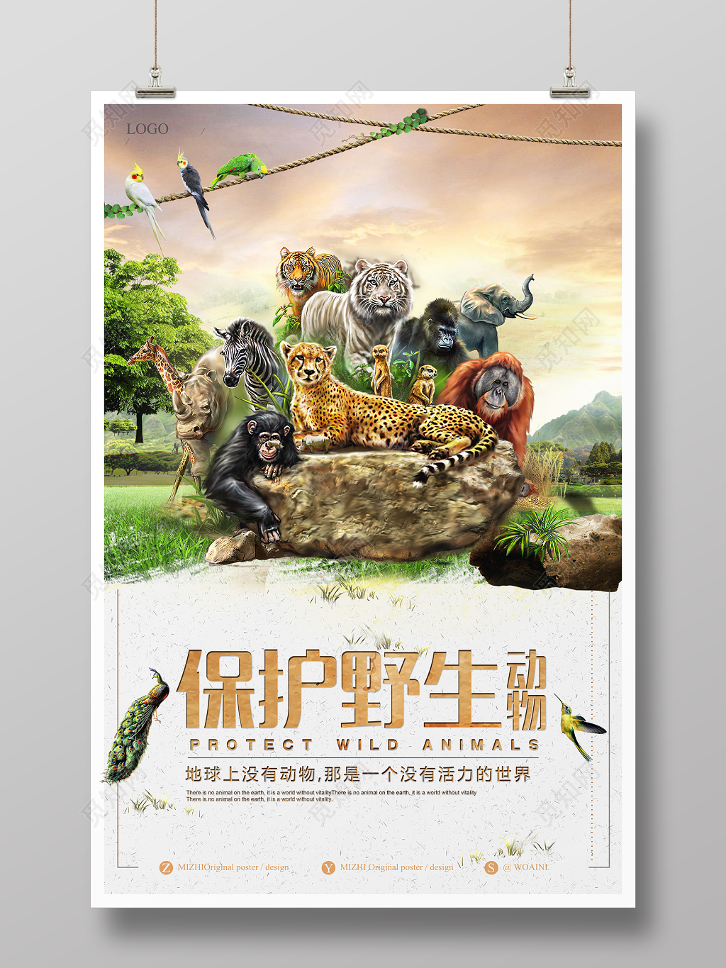 保护野生动物保护地球动物世界动物园海报