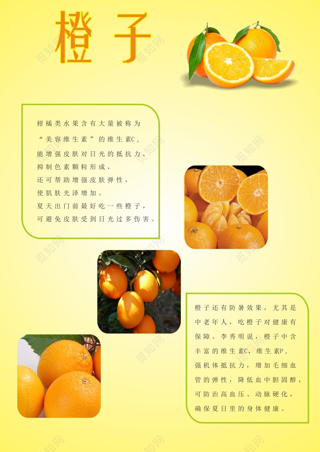 浅黄色背景橙子新鲜水果介绍海报