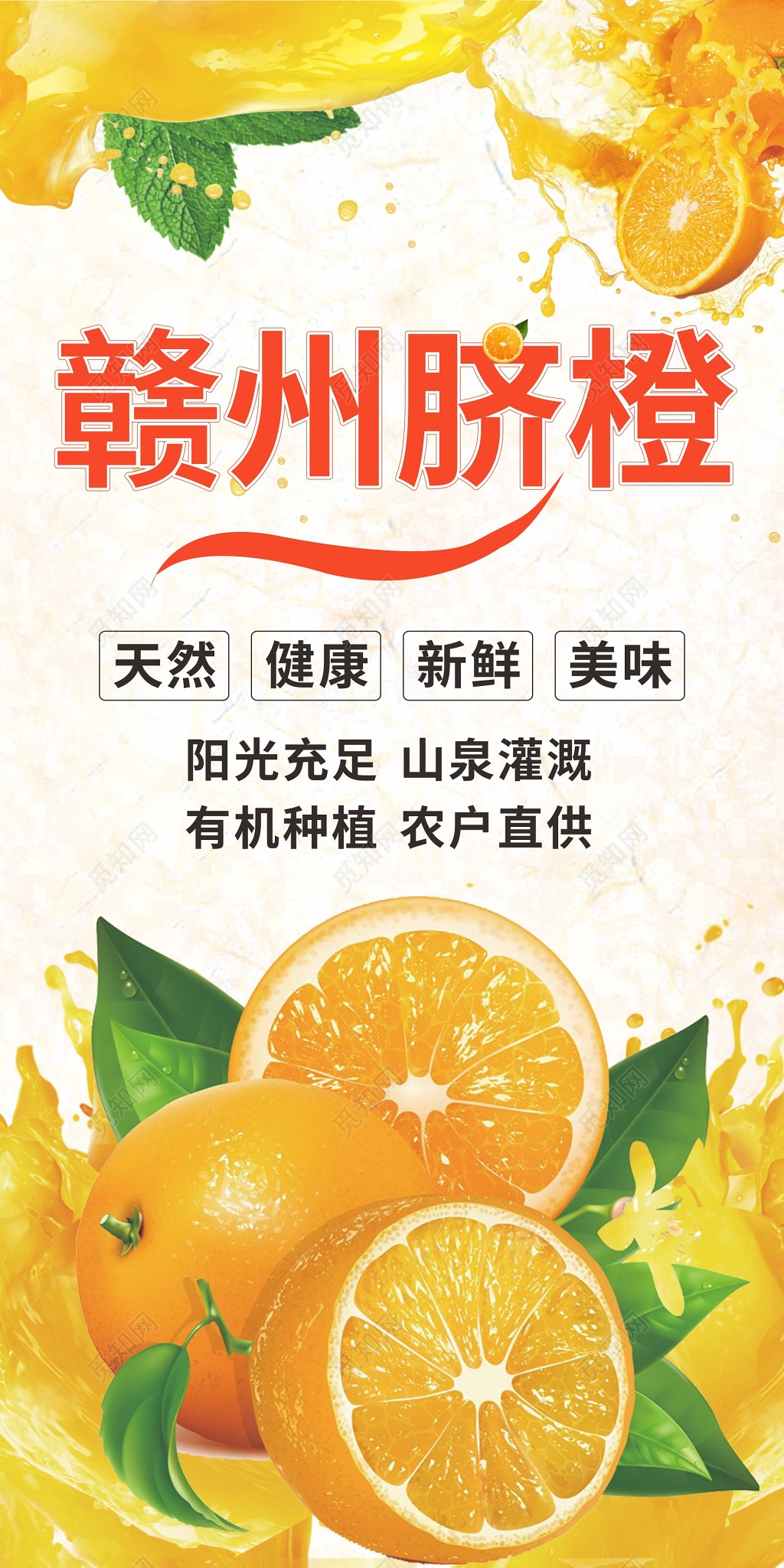 赣州脐橙橙子促销展架