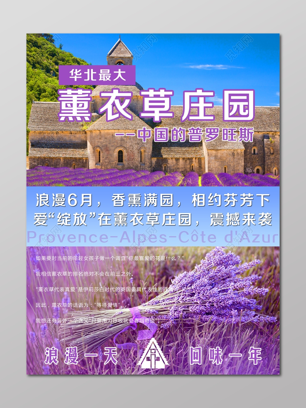 普罗旺斯薰衣草庄园浪漫紫色海报设计
