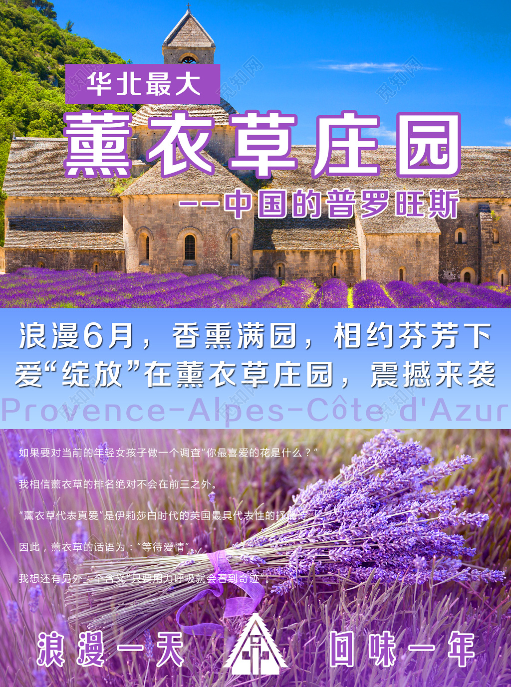 普罗旺斯薰衣草庄园浪漫紫色海报设计