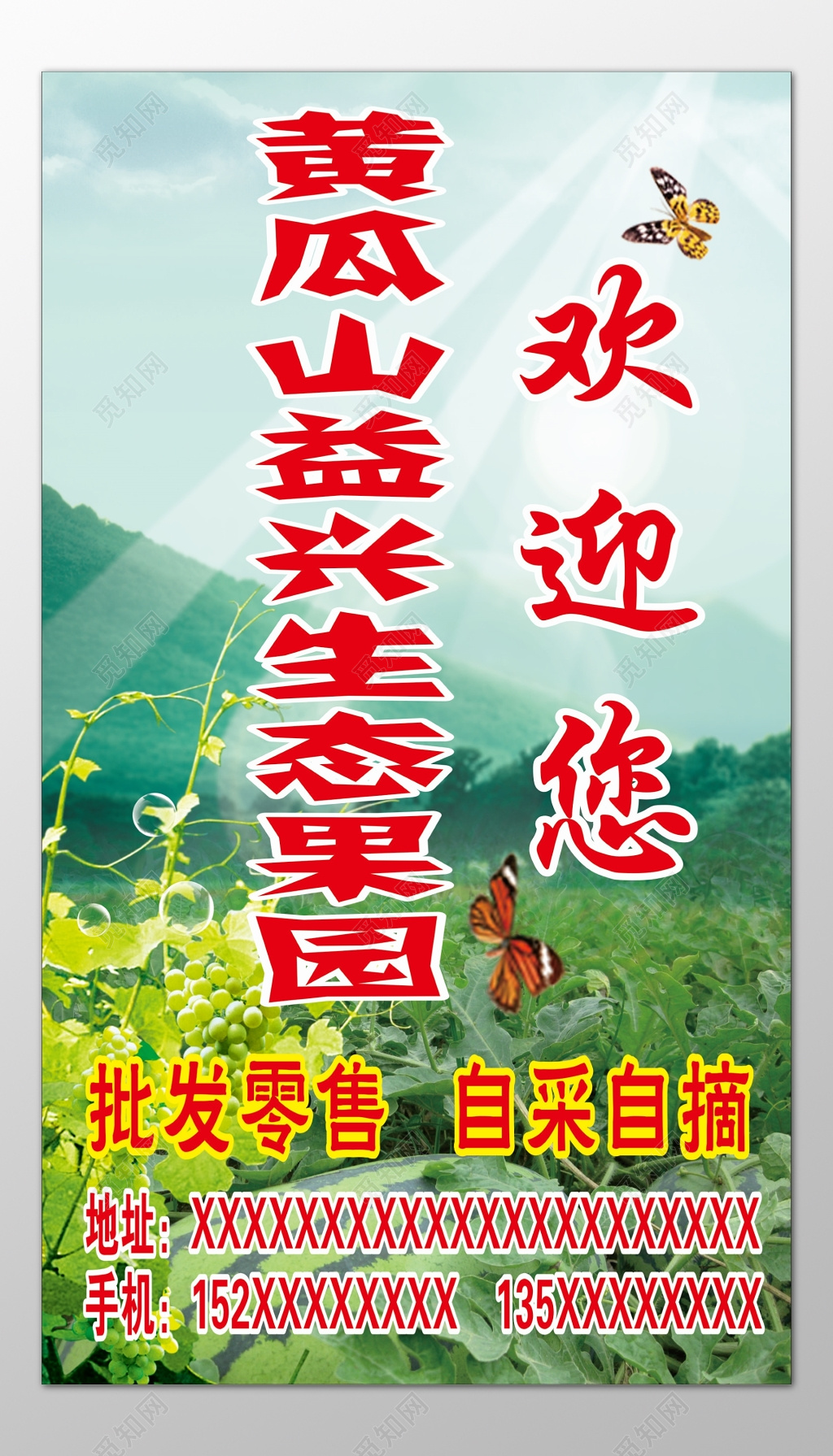 生鲜水果批发零售自采自摘生态果园西瓜葡萄海报模板