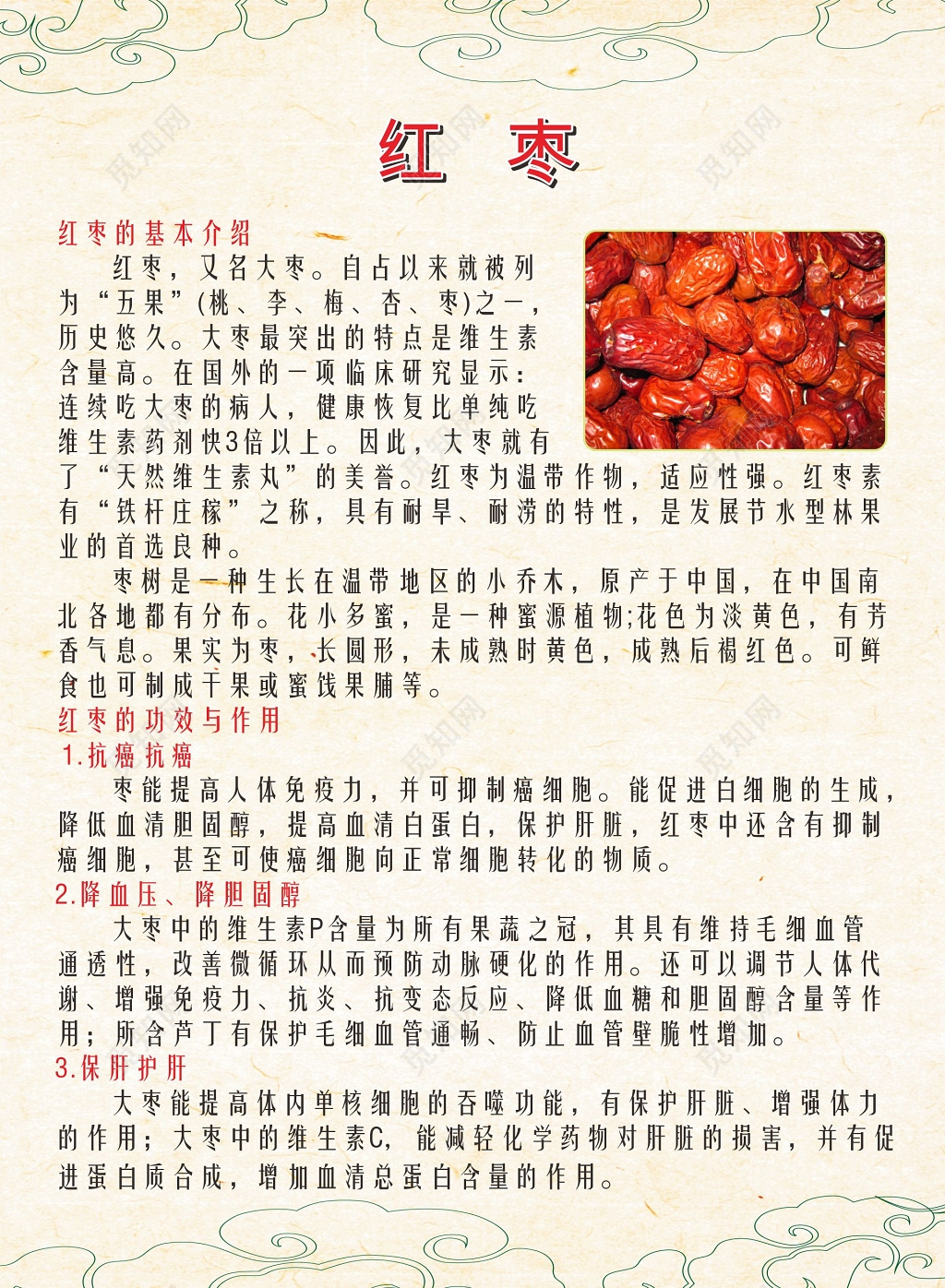 浅色背景红枣功效宣传海报