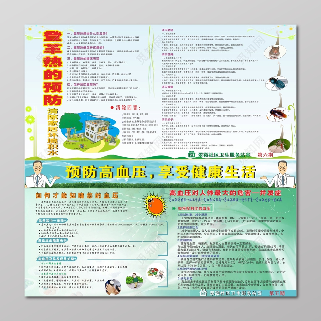 社区宣传栏登革热的预防宣传