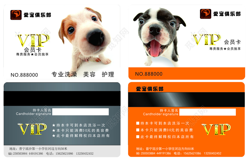 爱宠俱乐部VIP会员卡