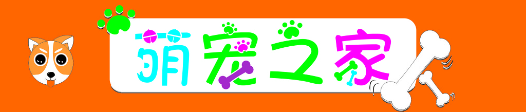 萌宠之家宠物宣传海报