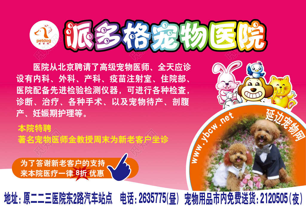宠物医院宣传海报