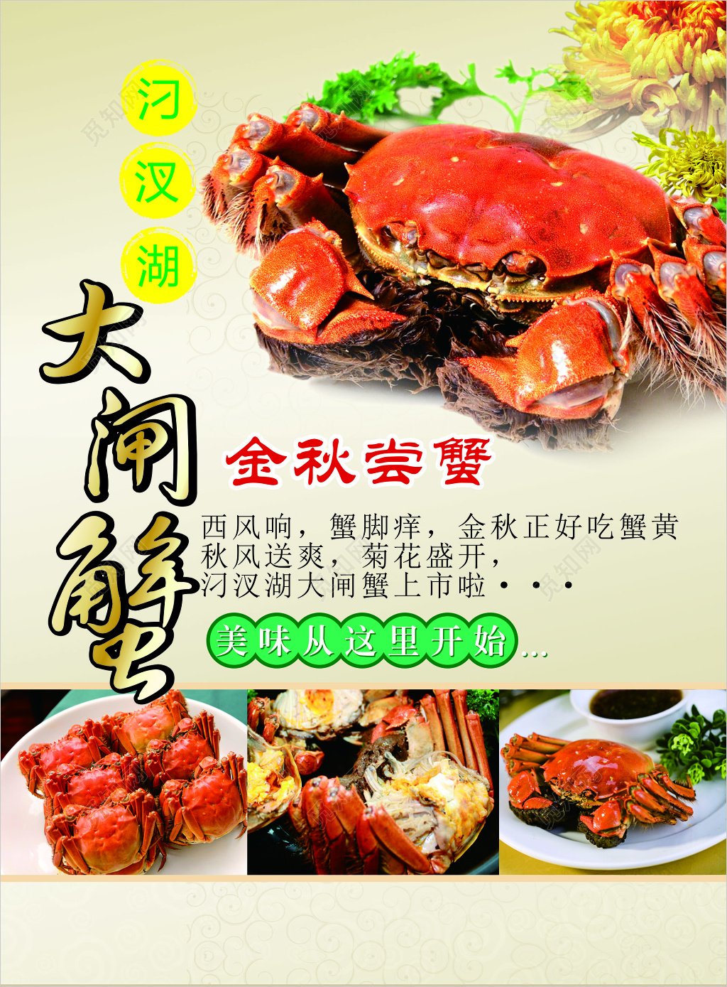 金秋尝蟹大闸蟹宣传单