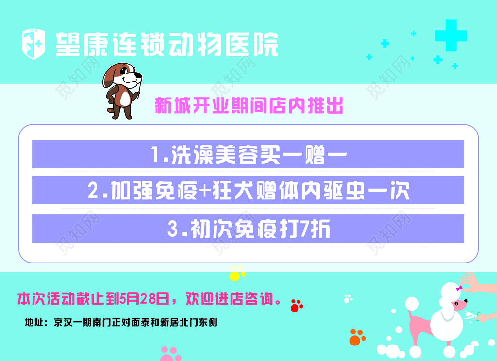 动物医院开业活动海报