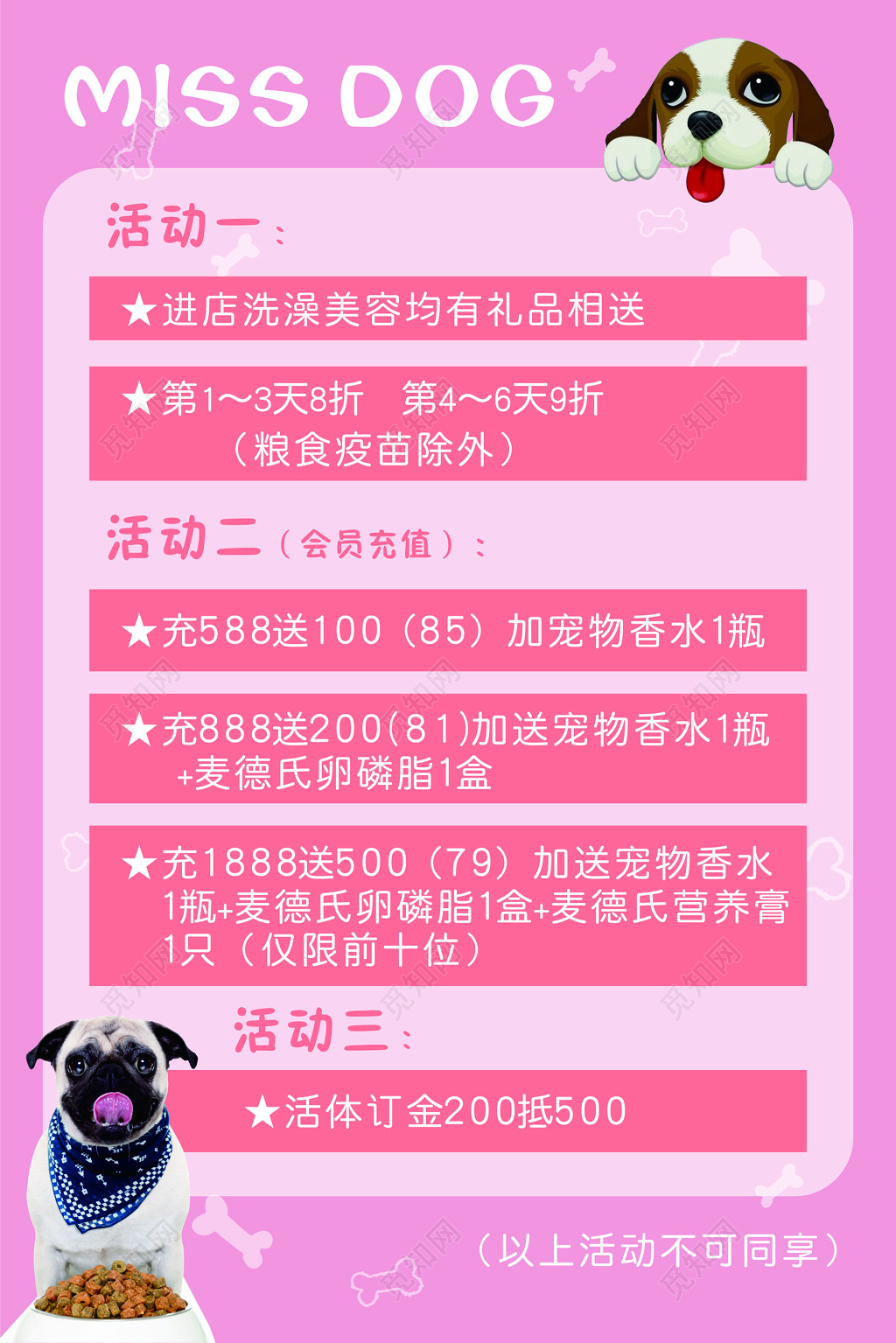 宠物店促销海报