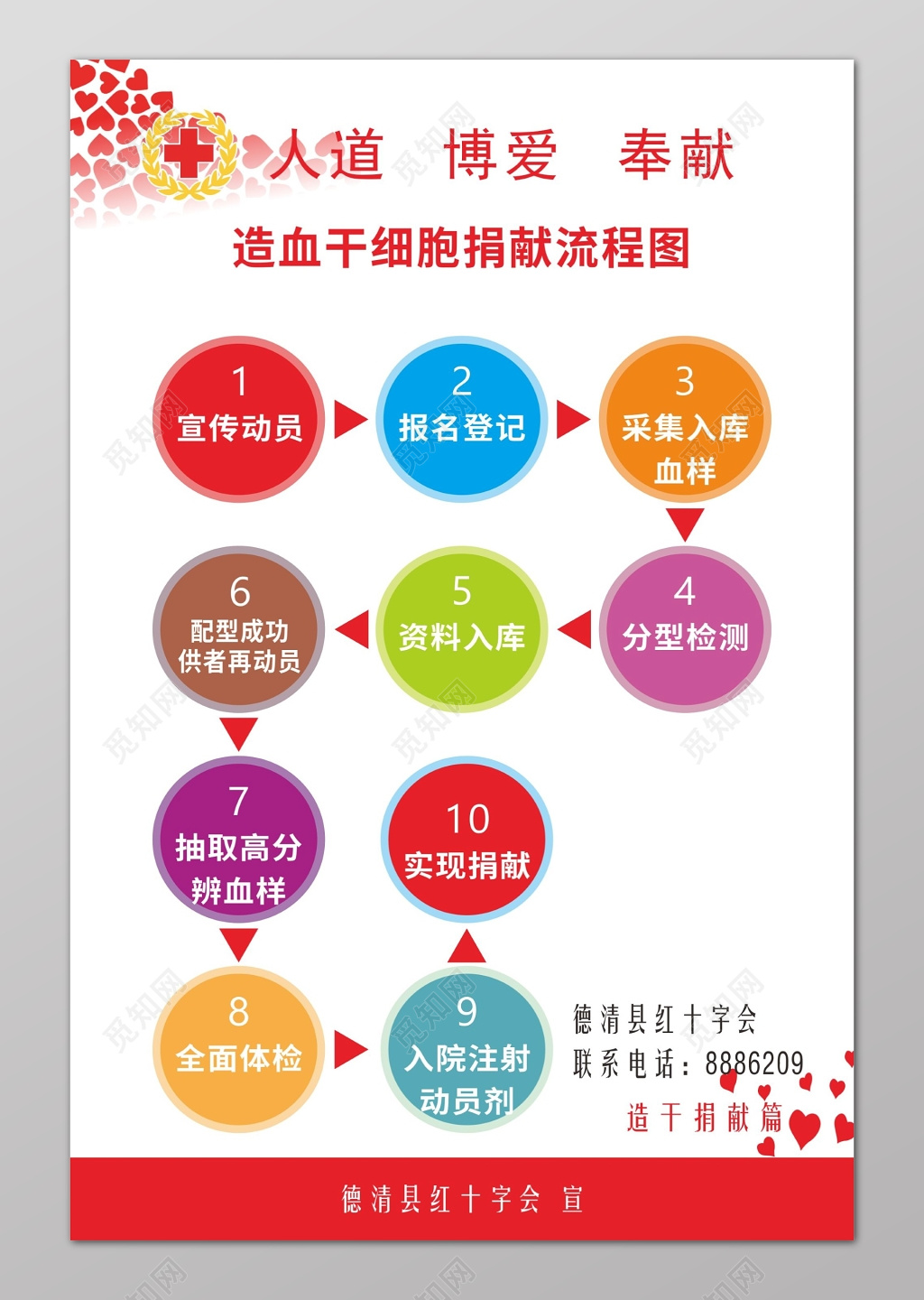 造血干细胞捐献流程图世界红十字日宣传海报