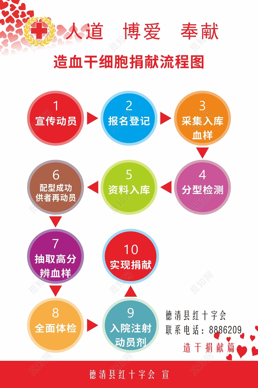造血干细胞捐献流程图世界红十字日宣传海报