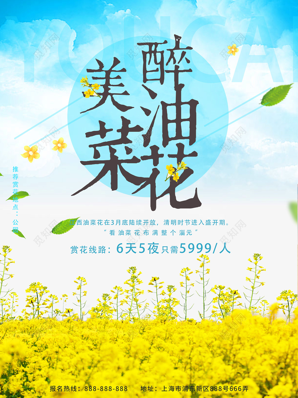春天春季油菜花旅游清新海报