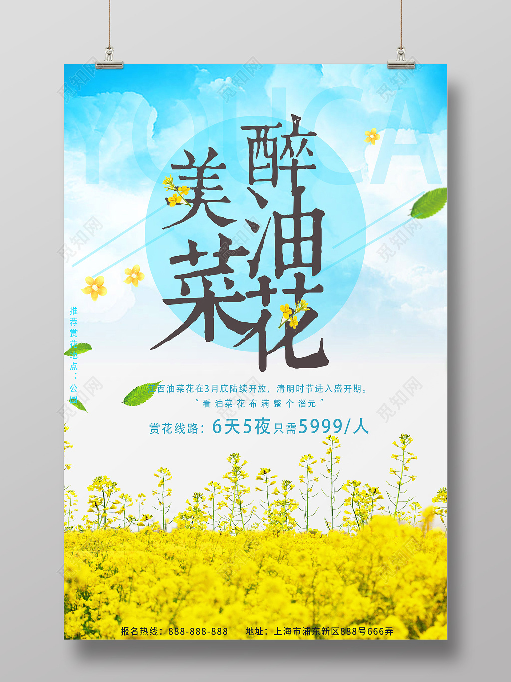 春天春季油菜花旅游清新海报