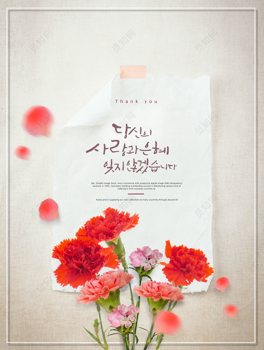 春天春季鲜花康乃馨贺卡纸张宣传海报