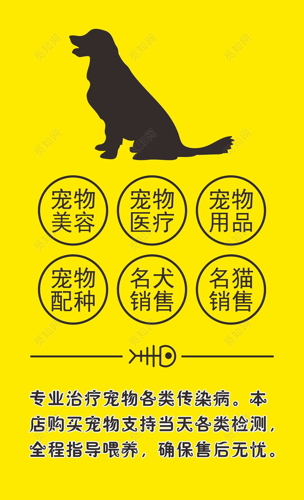 宠物名片宠物用品销售