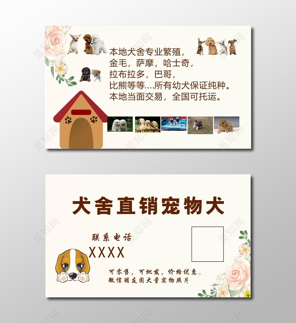 宠物名片设计宠物犬直销