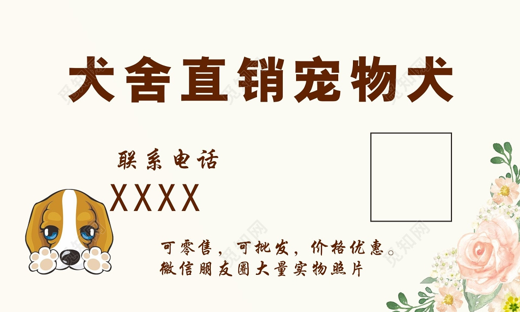 宠物名片设计宠物犬直销