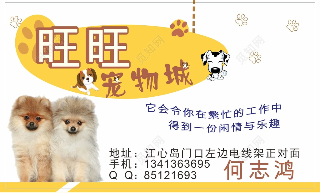 宠物名片设计宠物城名片