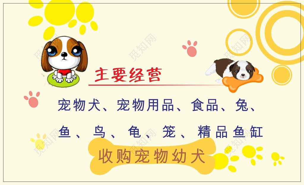 宠物名片设计宠物城名片
