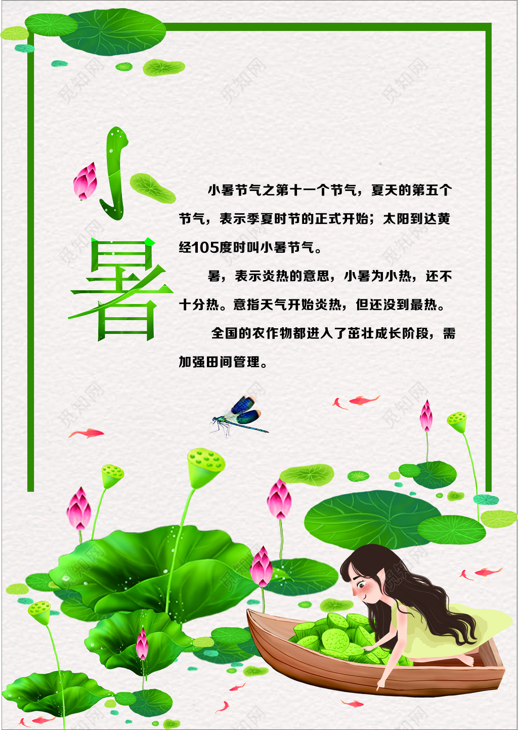 小暑二十四节气季夏时节炎热农作物茁壮成长海报模板