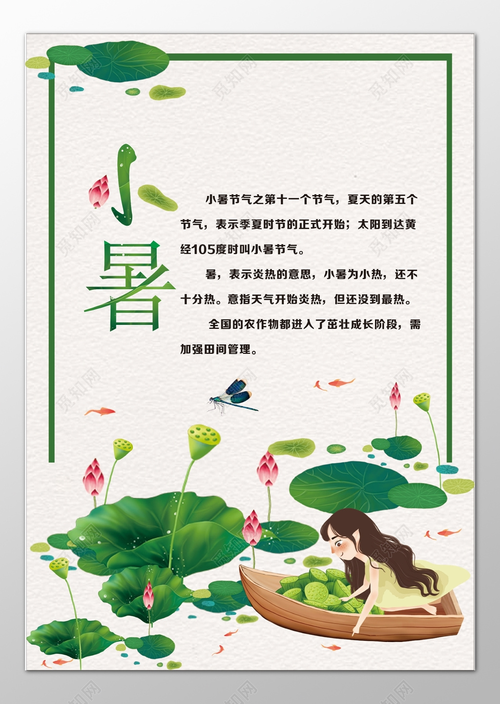 小暑二十四节气季夏时节炎热农作物茁壮成长海报模板