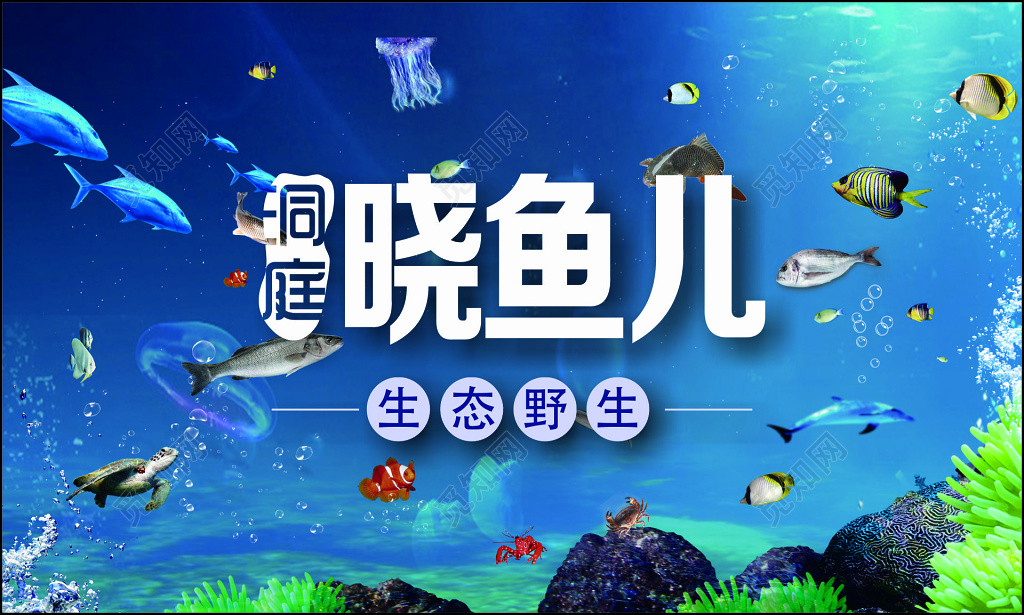 餐饮美食餐厅饭馆生态野生鱼海洋设计模板