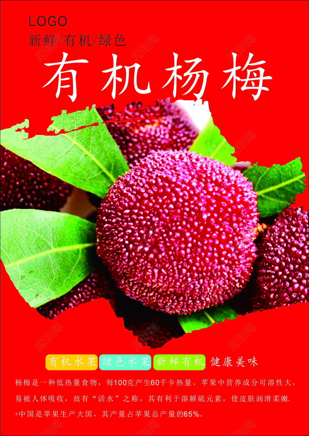 水果有机杨梅绿色新鲜健康美味营养海报模板