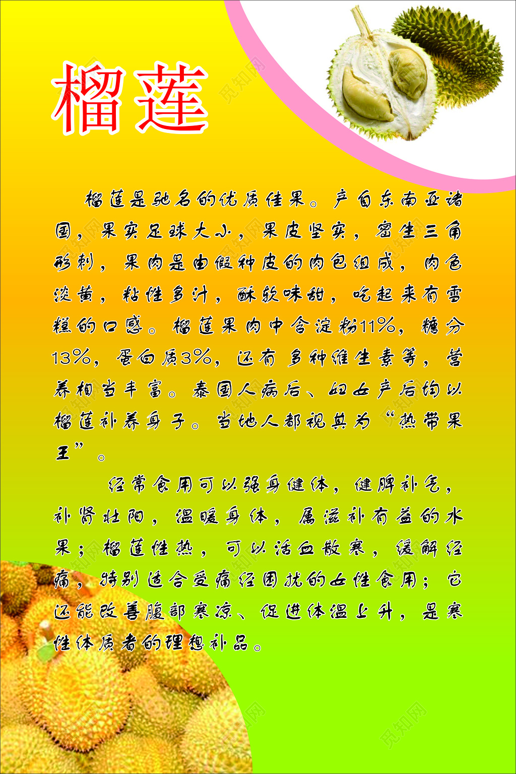 榴莲食用介绍海报