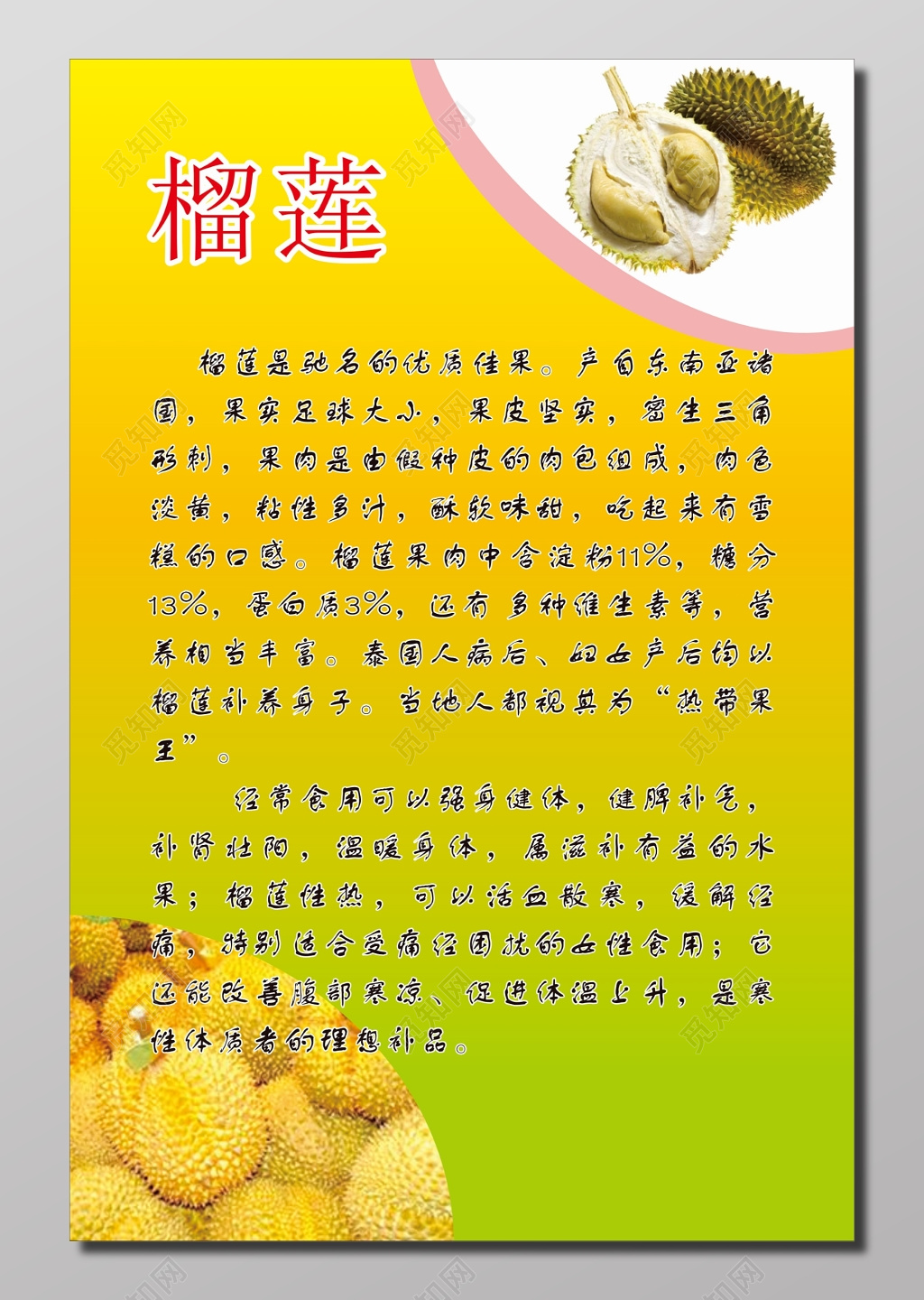 榴莲食用介绍海报