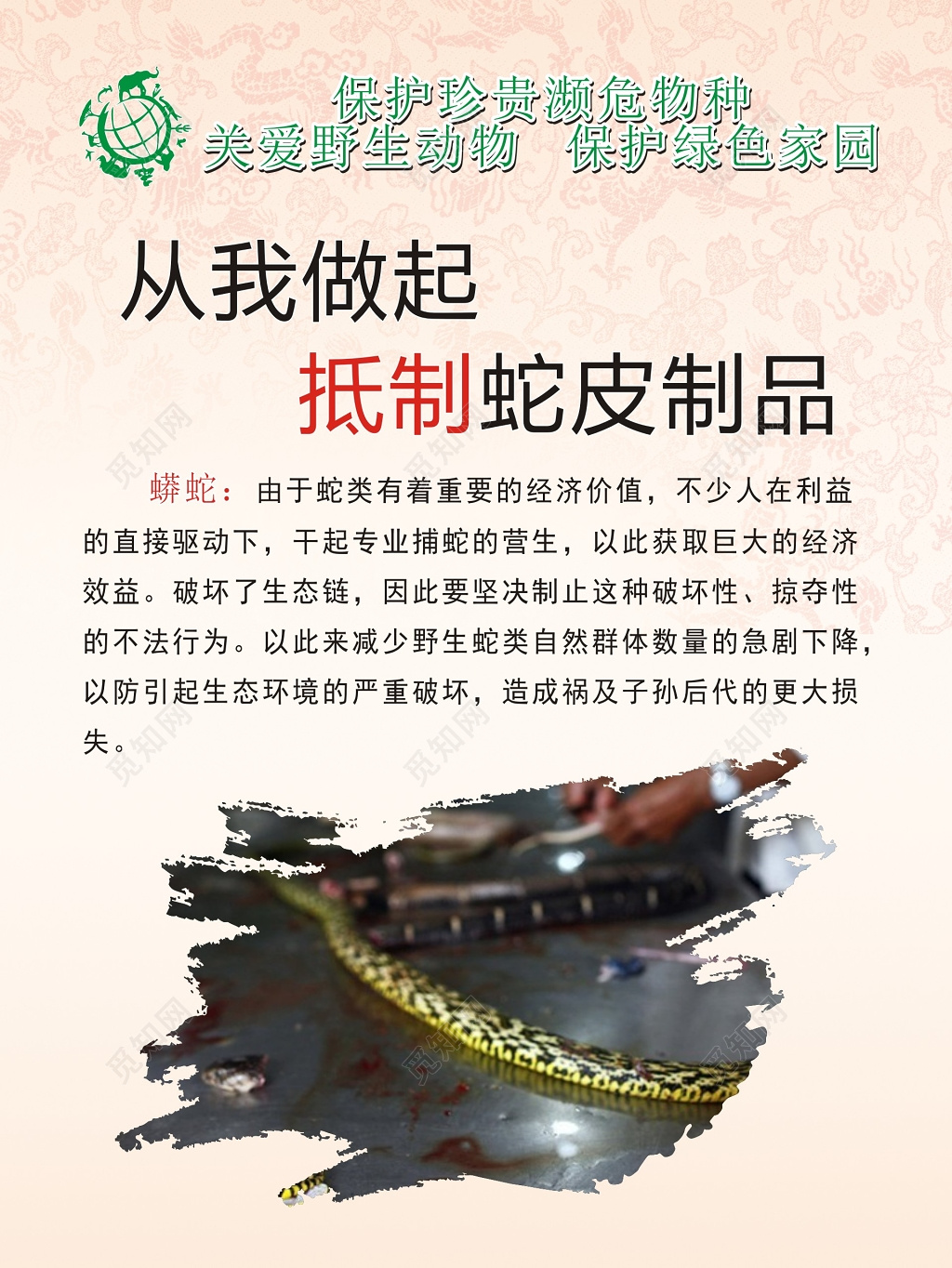 抵制蛇皮制品保护野生动物海报