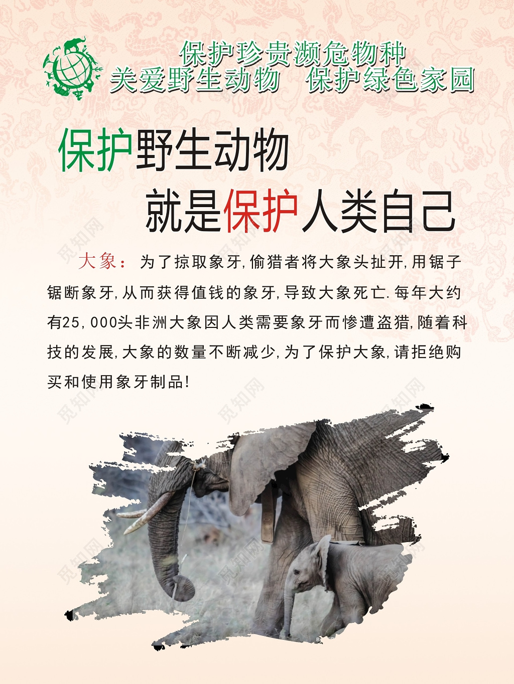 大象保护野生动物就是保护人类自己海报
