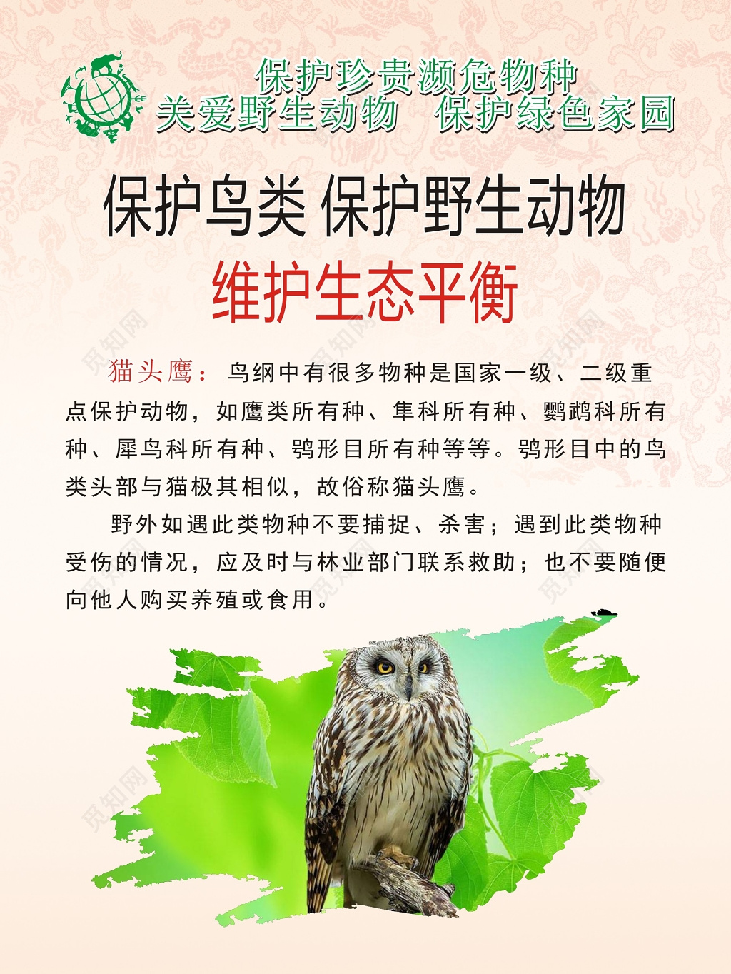 维护生态平衡猫头鹰保护野生动物海报