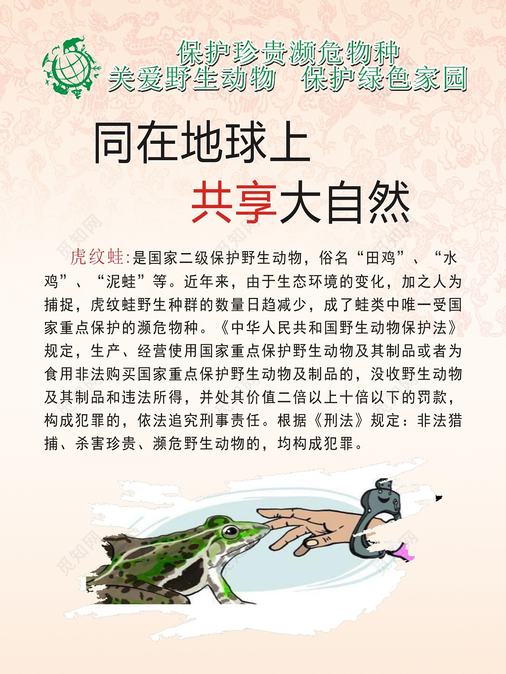 虎纹蛙同在地球上共享大自然保护野生动物海报
