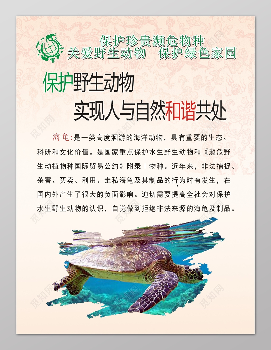 海龟保护野生动物实现人与自然和谐共处海报