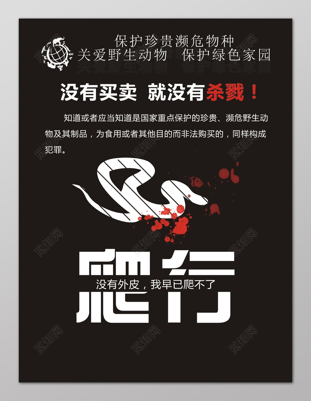 黑色爬行动物保护野生动物海报