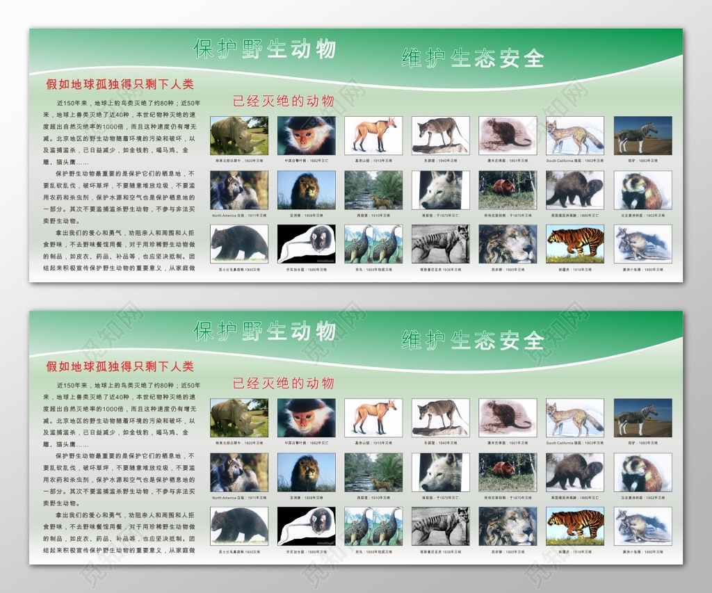 绿色清新简约保护野生动物海报