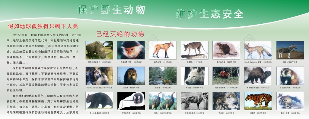 绿色清新简约保护野生动物海报