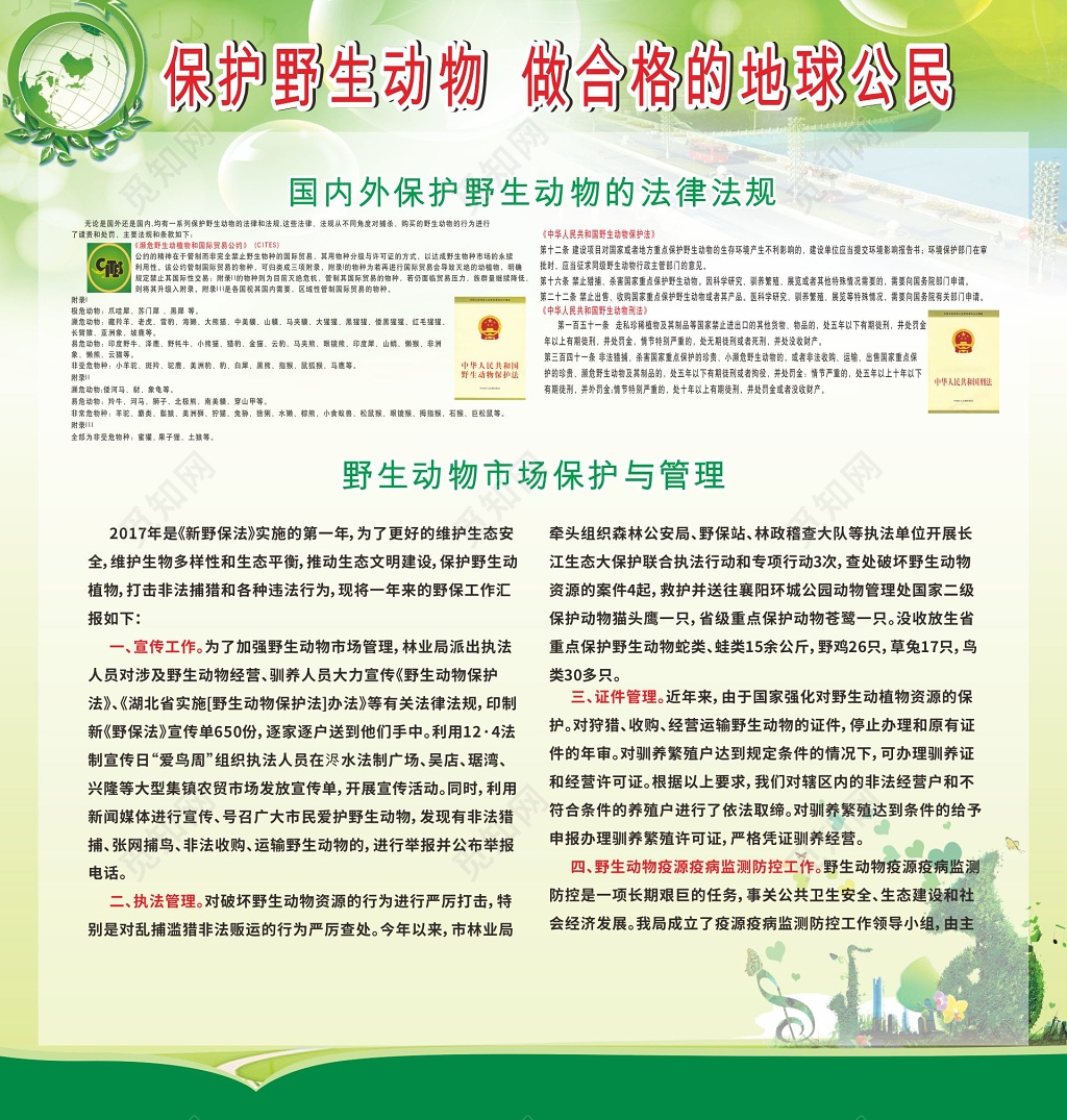 绿色清新保护野生动物做合格的地球公民海报