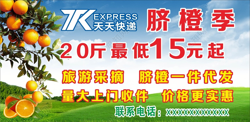 脐橙展架脐橙招牌