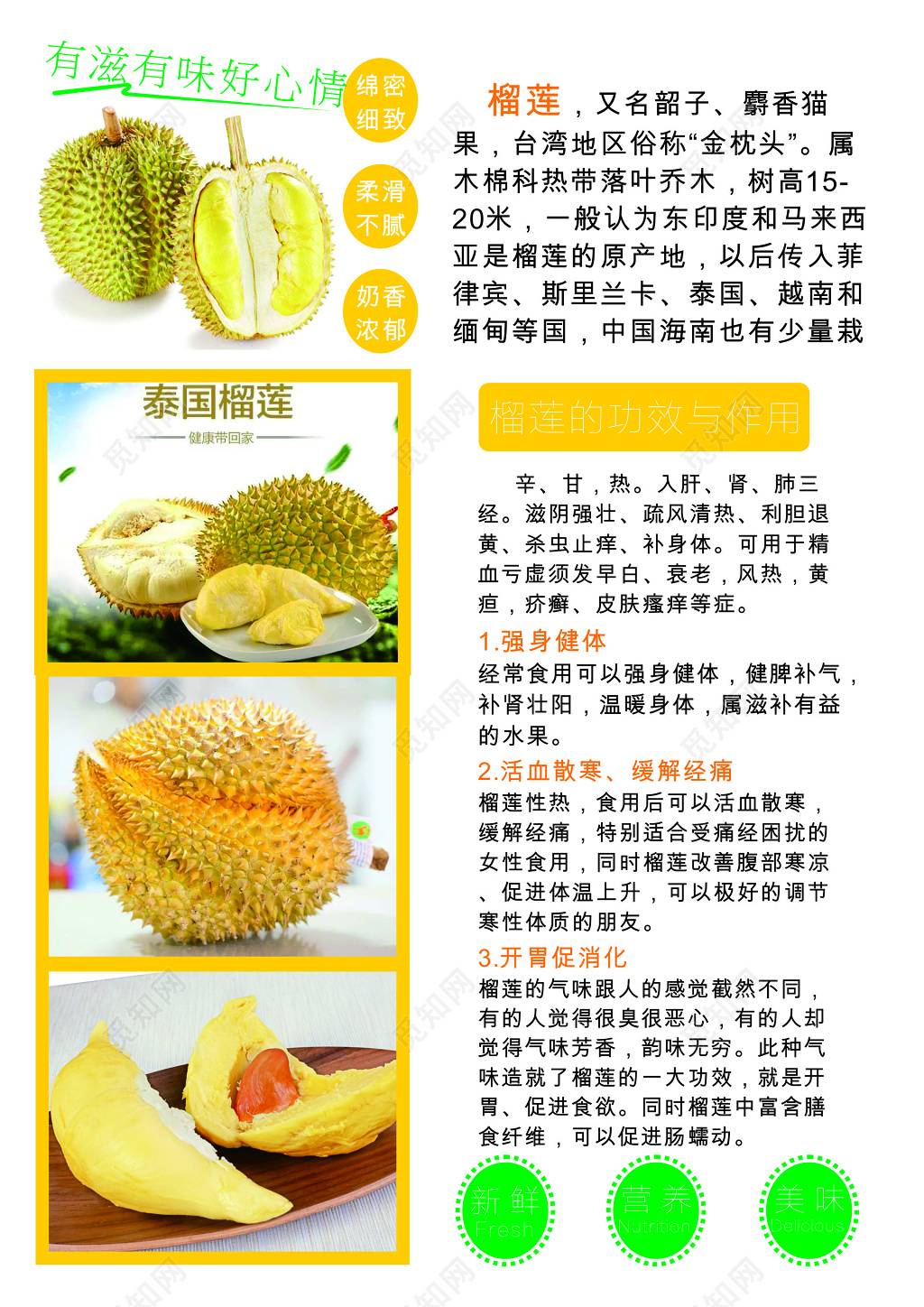 水果店榴莲功效与作用详情介绍海报