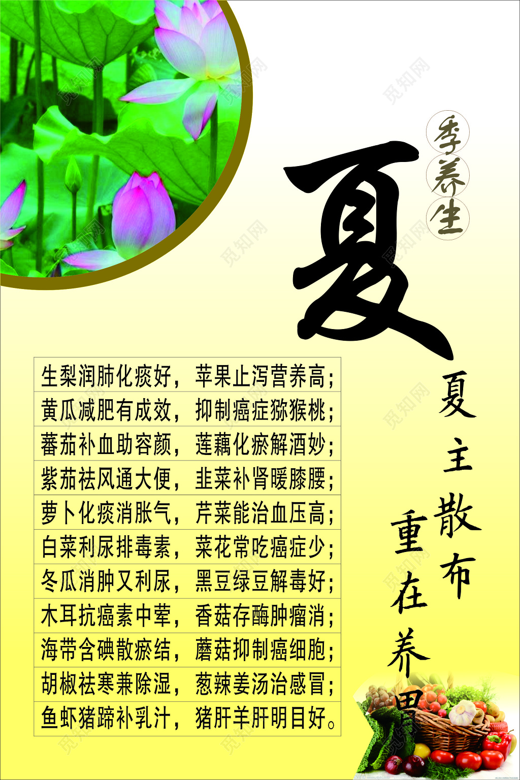 夏季养生润肺止泻营养高抑制癌症利尿消肿海报模板