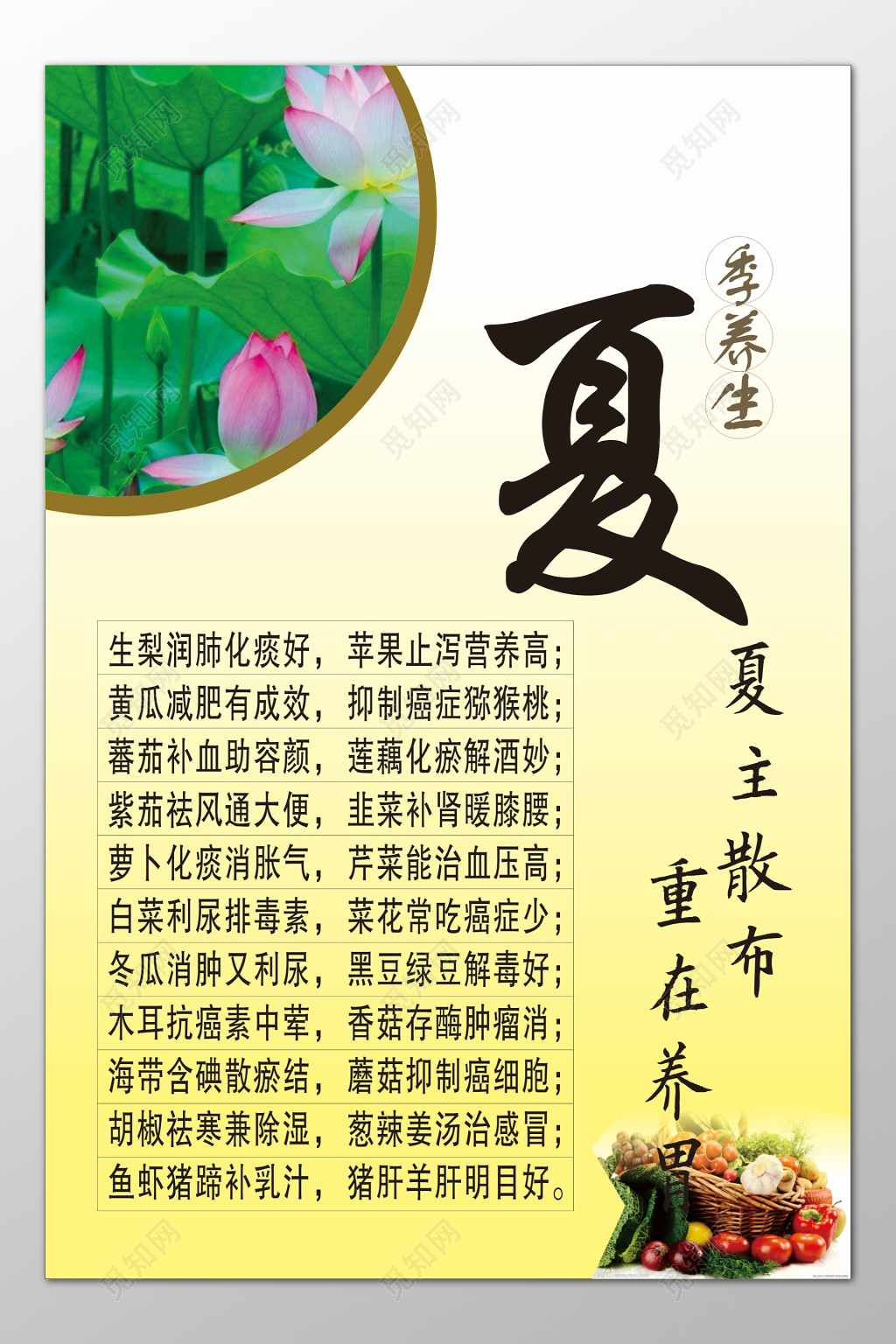 夏季养生润肺止泻营养高抑制癌症利尿消肿海报模板