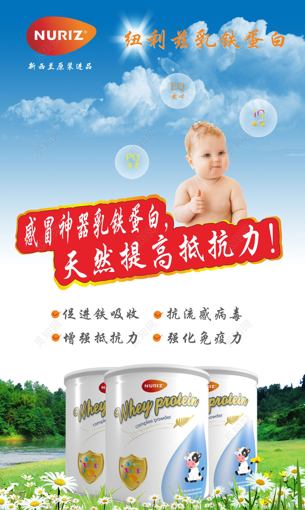 奶粉海报乳铁蛋白海报