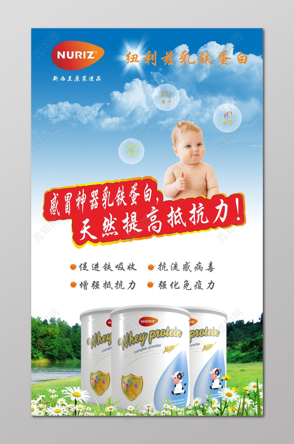 奶粉海报乳铁蛋白海报